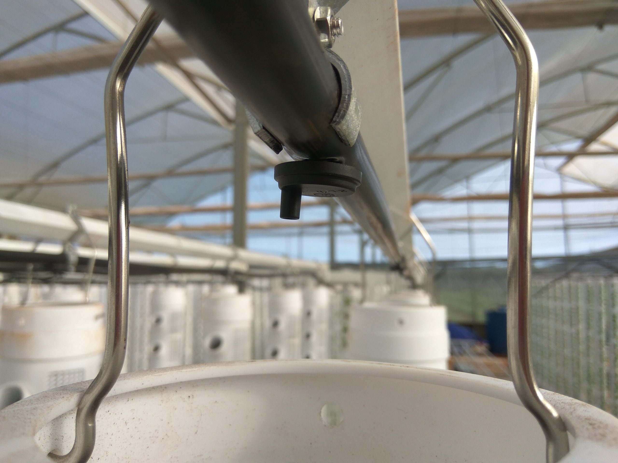 Tưới thủy canh - Phương pháp tưới nhỏ giọt