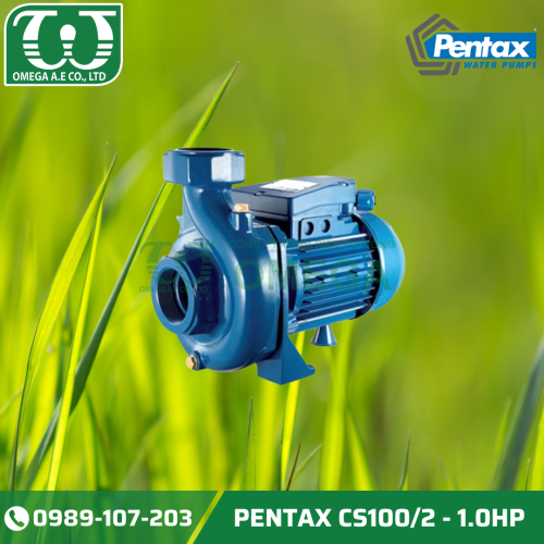 BƠM NÔNG NGHIỆP PENTAX CS100/2 - 1.0HP