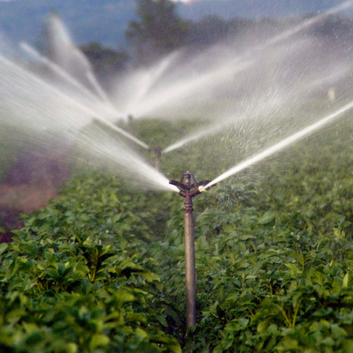 BƠM TƯỚI NÔNG NGHIỆP
